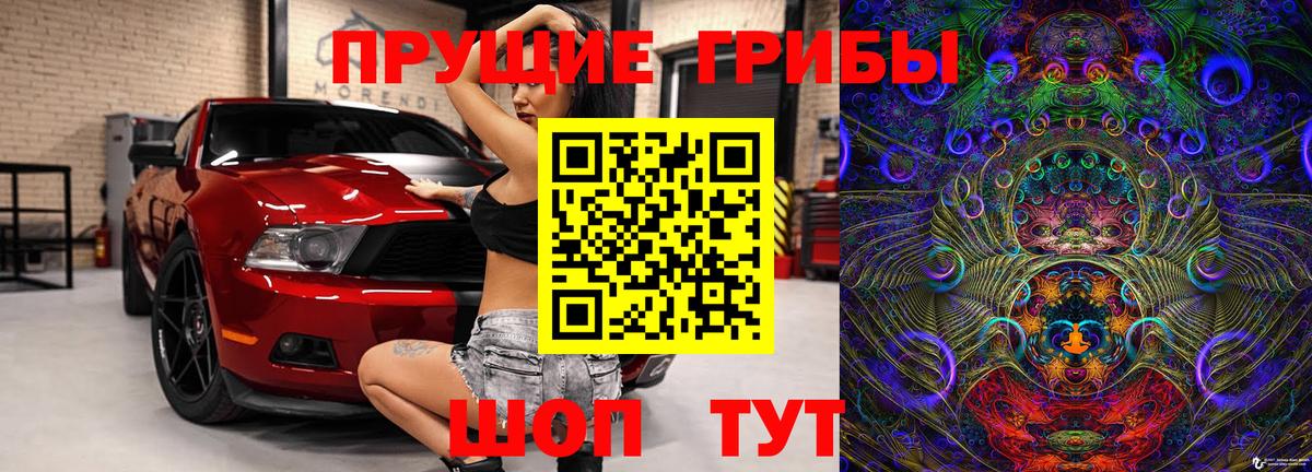 Псилоцибиновые грибы прущие грибы  Вход с VPN  Сарапул 