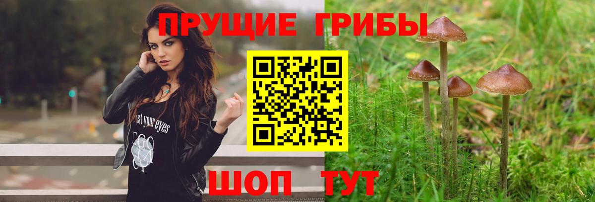 Псилоцибиновые грибы Magic Shrooms Сарапул